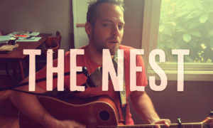 Tyler Stenson - The Nest